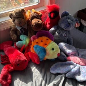 Beanie Buddies Set!🧸✨